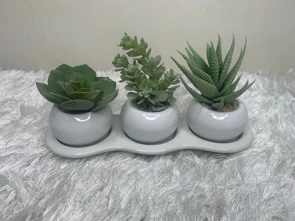 Faux Succulent Three Plant Modern Planter 3 x 9